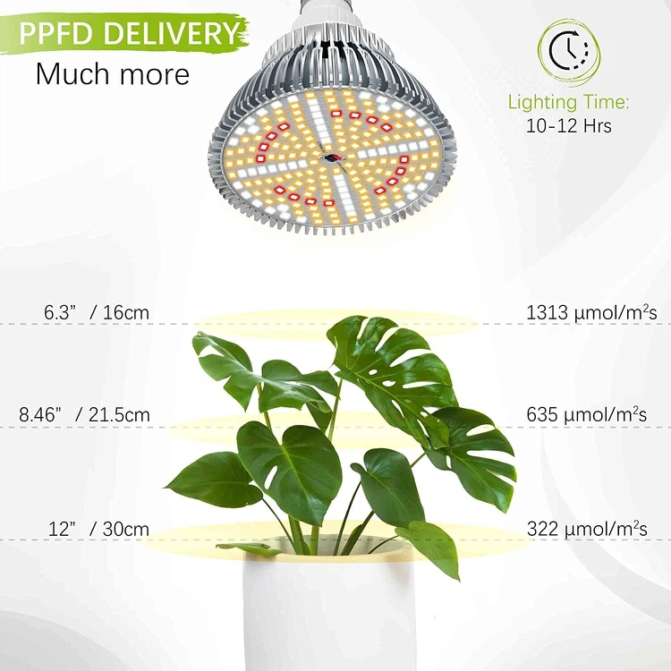 30W Plant Light Bulb 1 30W Plant Light Bulb 1