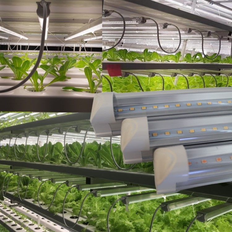 indoor grow lights indoor grow lights