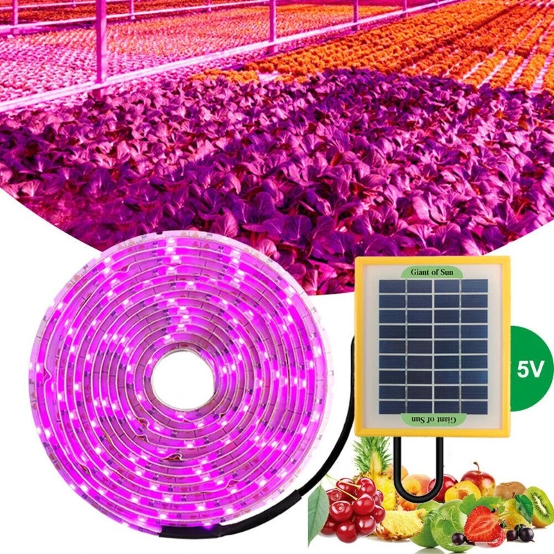 solar grow lights for outdoor plants solar grow lights for outdoor plants
