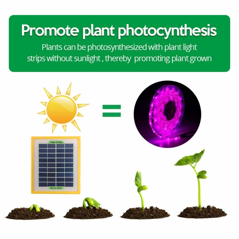 Solar Panel LED Grow Light Strip 2 Solar Panel LED Grow Light Strip 2