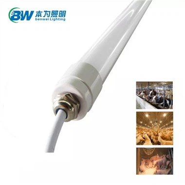 12 V-os egyenáramú LED csőlámpa 4 láb