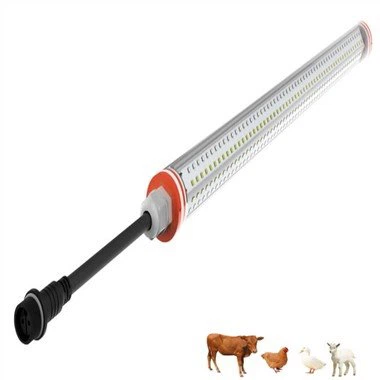 Baromfitartó világítás