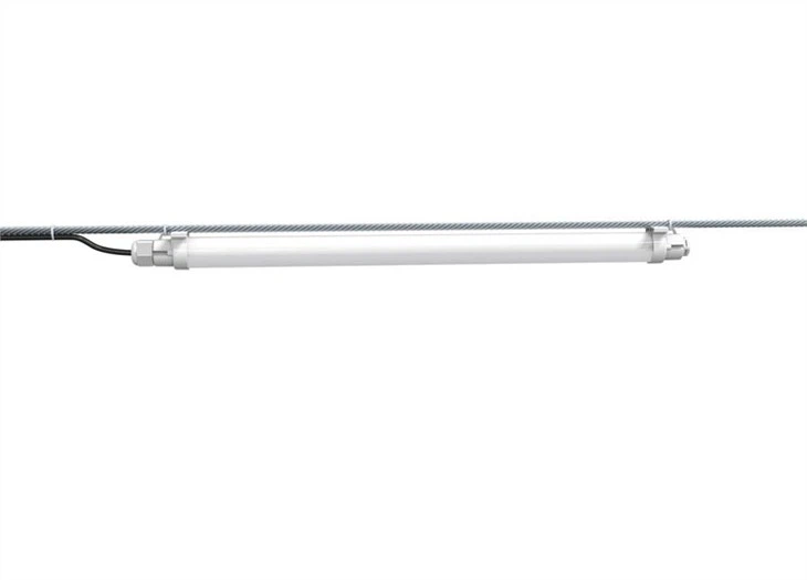 artificial lighting for chickens
