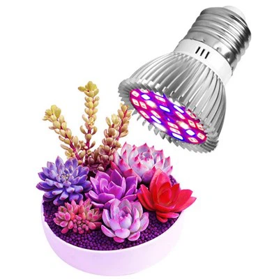 Legfényesebb beltéri izzók