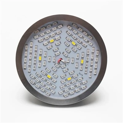 Nappali LED izzó növényekhez