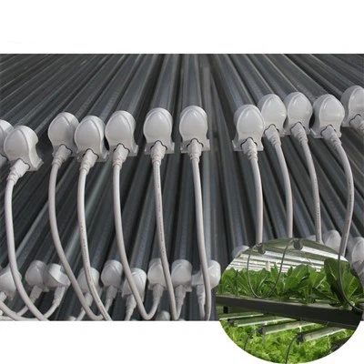 Teljes spektrumú LED növekedésű lámpák