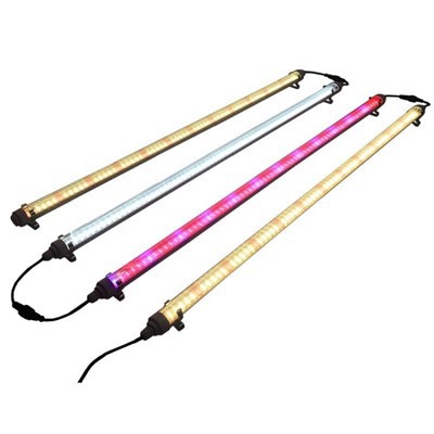 Teljes spektrumú LED izzó