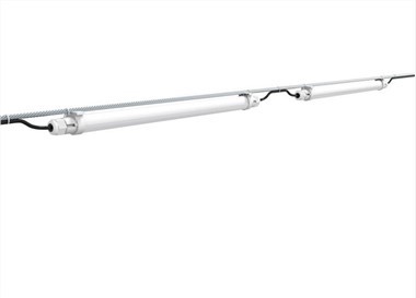 Villanykörte Tyúkházhoz