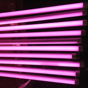 Rózsaszín LED Meat T8 Tube Light szupermarkethez/henteshez/ételekhez/zöldségekhez