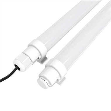 Kis Chicken Coop Light