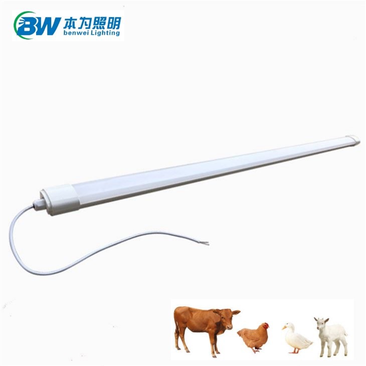 120cm Led Chicken Light