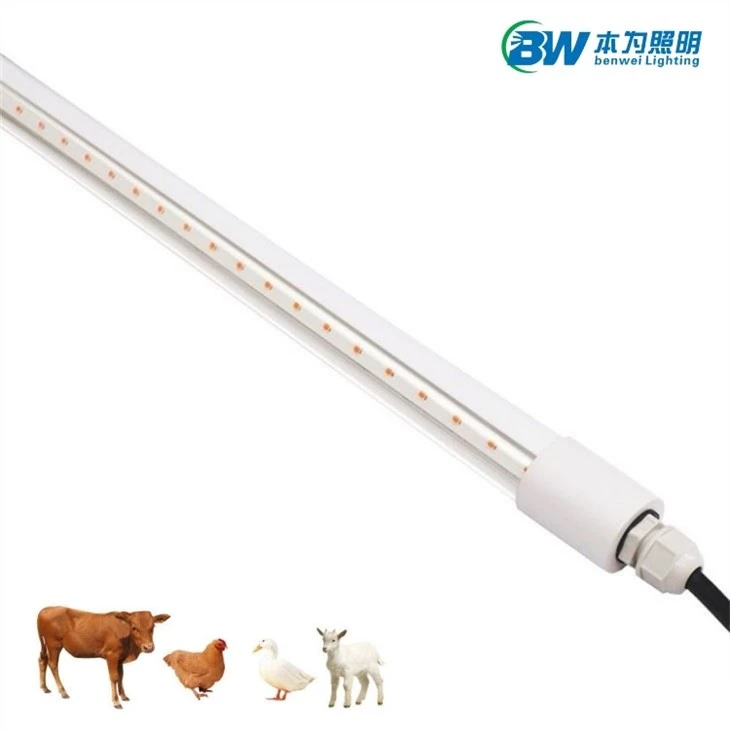 18w Chicken Coop Light 3000k