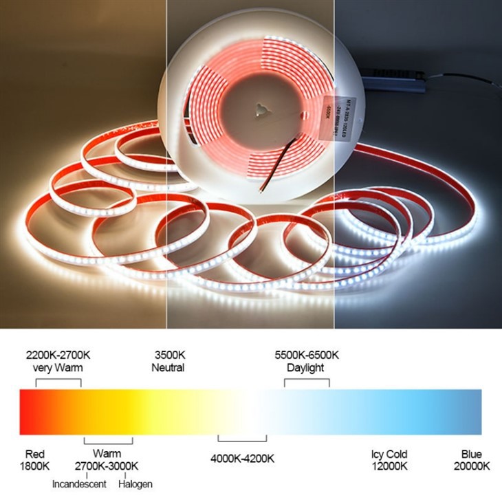240v RGBW Led Strip Light