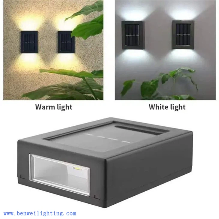 5 Years Poultry Light