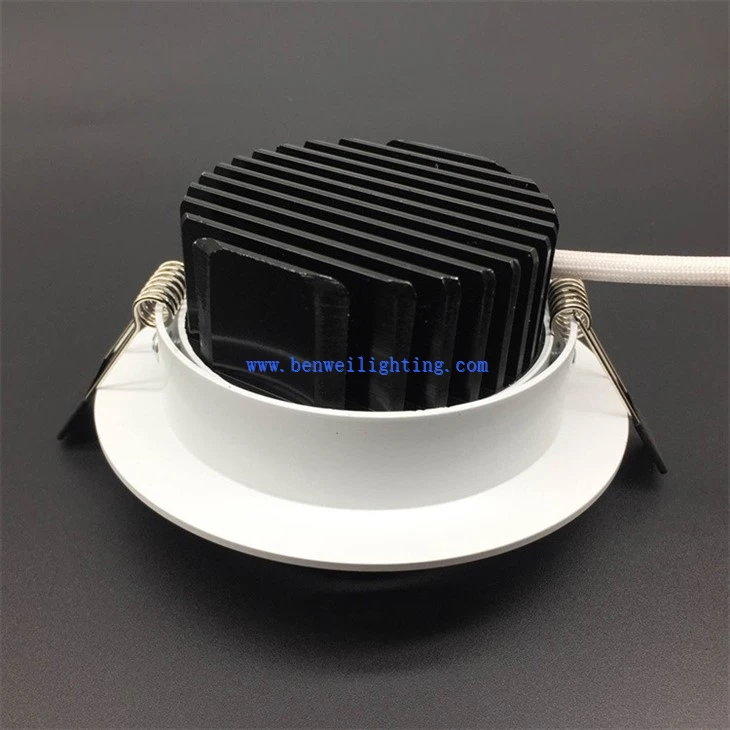 Ceiling downlight (3)