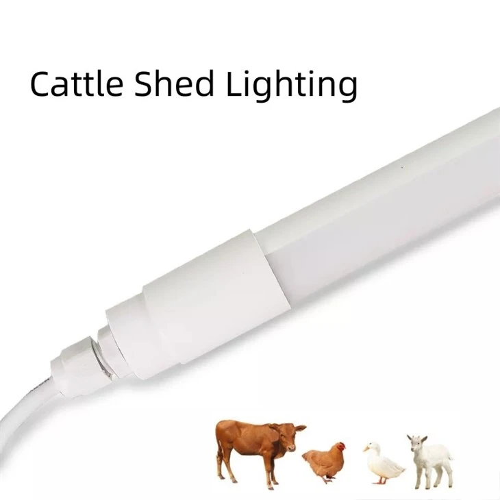 Chicken Light With 0-10V 20W Ip67
