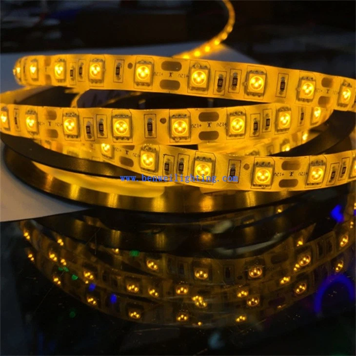 Christmas Lighting (3)