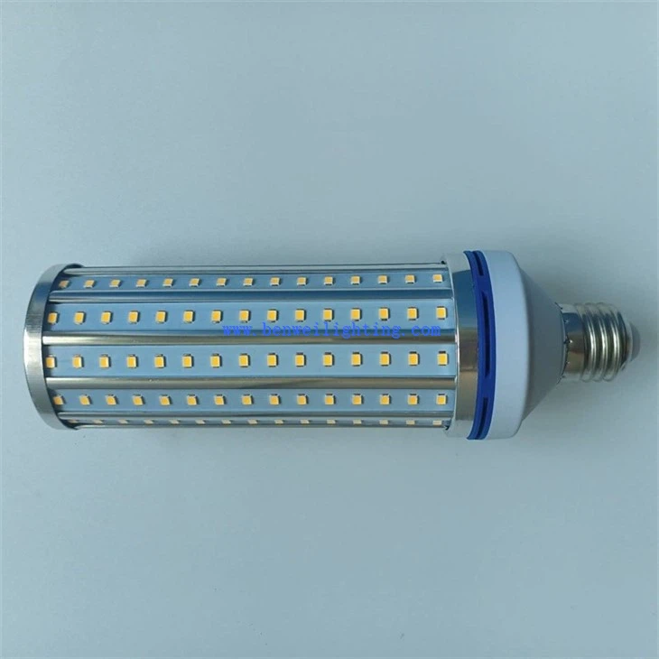 Cold White Corn Light (4)