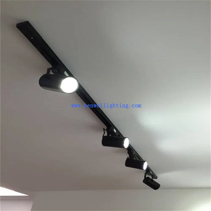 Home Track Light (2)