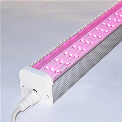 Az Utimate Grow Light pozsgás növények, fűszernövények és zöldségek számára: ...
