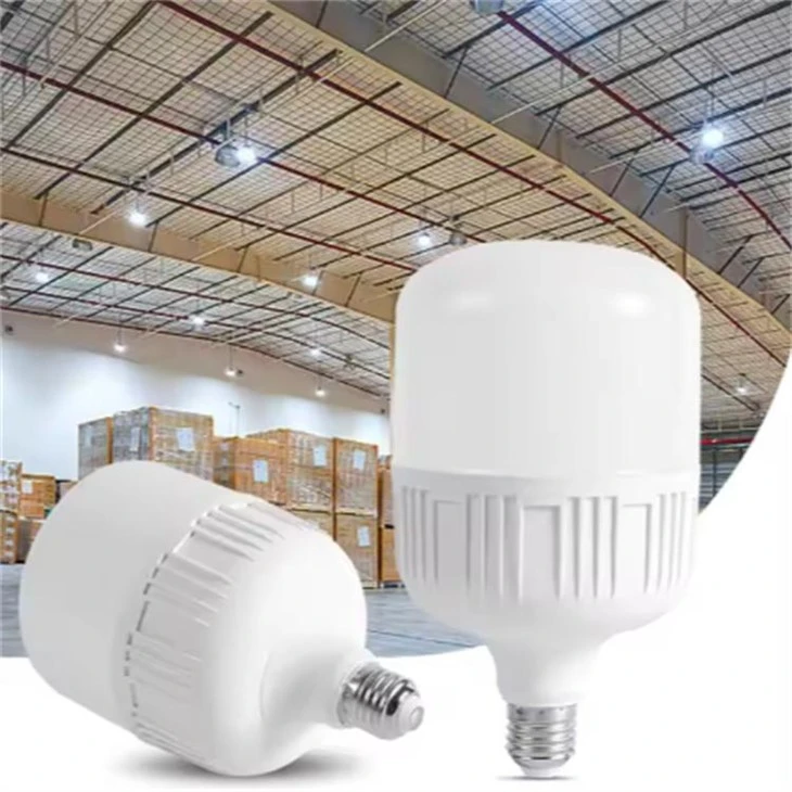 Led Light Bulbs Indoor