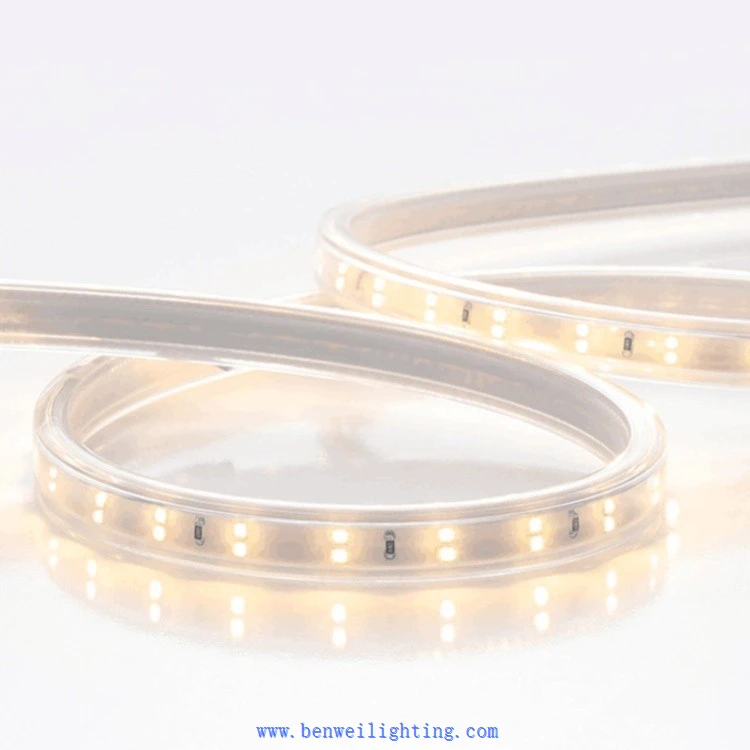 Monochrome And Color LED Light Strips