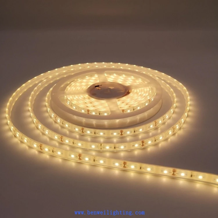 Monochrome And Color LED Light Strips