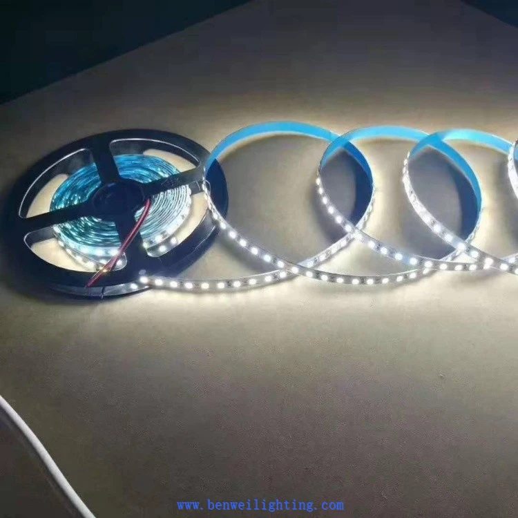 Monochrome And Color LED Light Strips