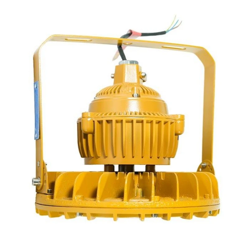 LED Explosion-Proof Lamp Lights LED Explosion-Proof Lamp Lights