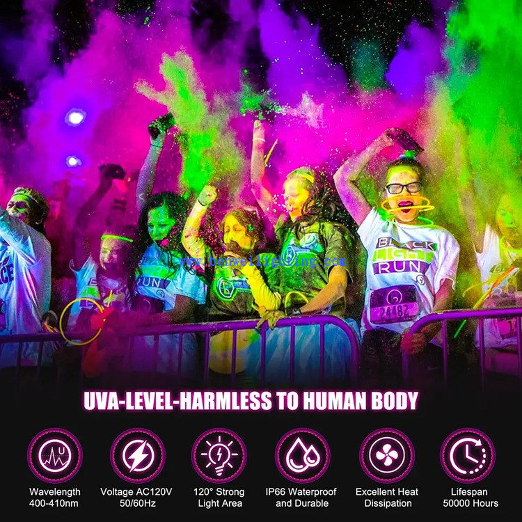 UV Party Flood Light 1 UV Party Flood Light 1