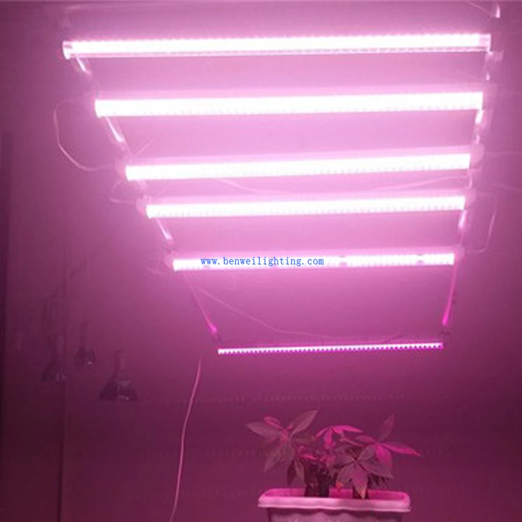 Grow5 Grow5