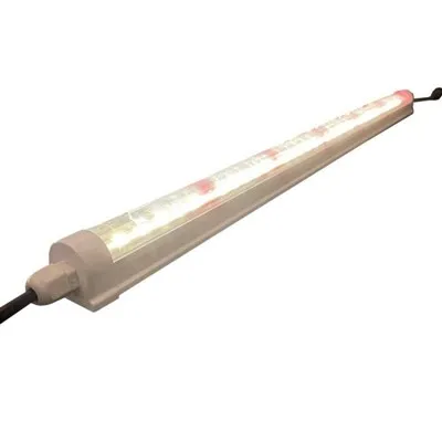 Zöldségtermesztés beltéren, LED-lámpákkal